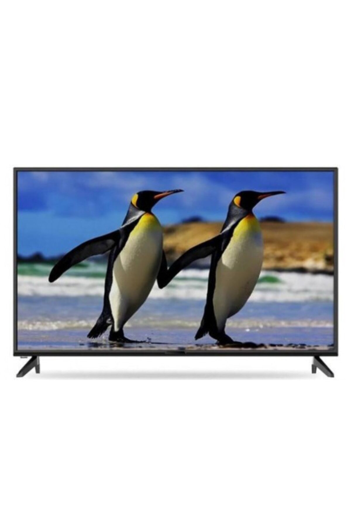 39PA225EG 39'' 99 Ekran Uydu Alıcılı HD Ready Smart LED TV Siyah